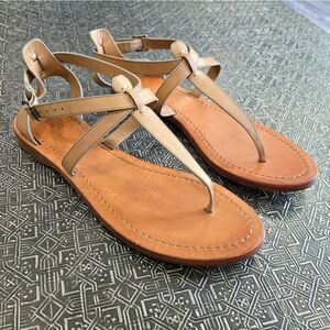 🐢 FRYE Taylor Leather Sandal. VGC Size 9.5